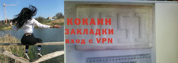 тгк Дмитриев